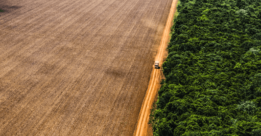 Dia Mundial da Alimentação: temos mesmo o que comemorar?