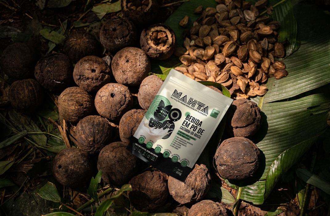 Leite em Pó de Castanha-do-Brasil