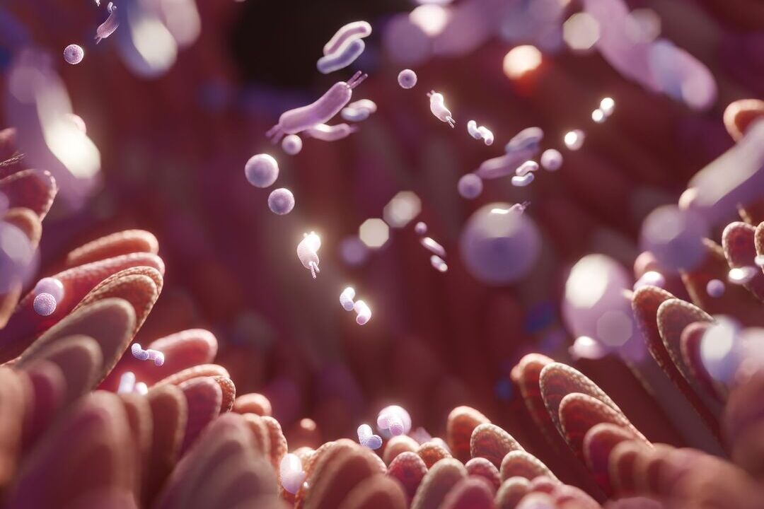 Microbioma: o que é e por que é tão importante