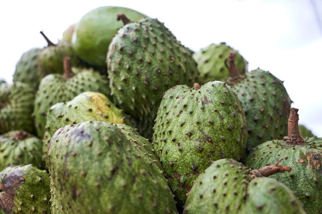 Graviola, uma fruta cheia de benefícios para saúde além de ser versátil para receitas