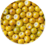 Muruci